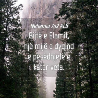 Picture 04 - Nehemia 7:12 ALB - Bijtë e Elamit, një mijë e dyqind e - Bible Verse Picture