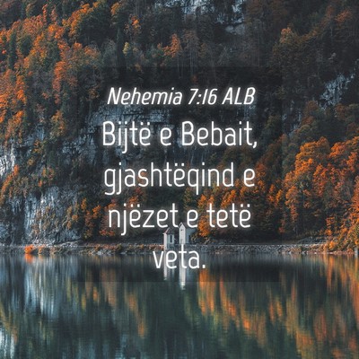 Picture 04 - Nehemia 7:16 ALB - Bijtë e Bebait, gjashtëqind e njëzet e tetë - Bible Verse Picture