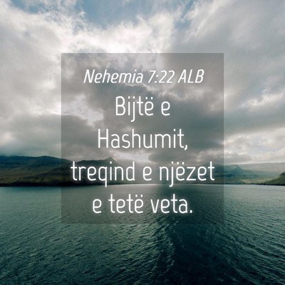 Picture 04 - Nehemia 7:22 ALB - Bijtë e Hashumit, treqind e njëzet e tetë - Bible Verse Picture
