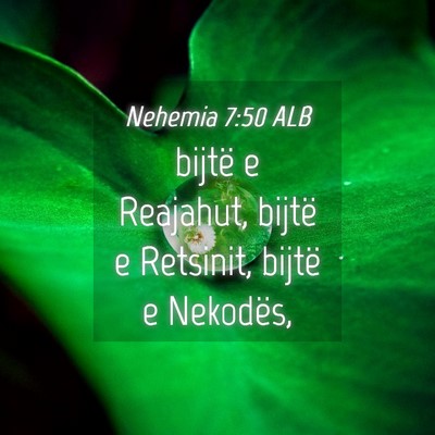 Picture 04 - Nehemia 7:50 ALB - bijtë e Reajahut, bijtë e Retsinit, bijtë e - Bible Verse Picture