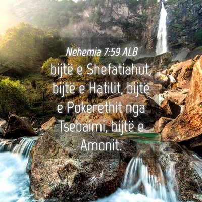 Picture 04 - Nehemia 7:59 ALB - bijtë e Shefatiahut, bijtë e Hatilit, bijtë e - Bible Verse Picture