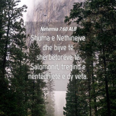 Picture 04 - Nehemia 7:60 ALB - Shuma e Nethinejve dhe bijve të shërbëtorëve - Bible Verse Picture