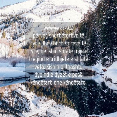 Picture 04 - Nehemia 7:67 ALB - përveç shërbëtorëve të tyre dhe - Bible Verse Picture