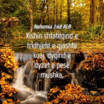 Picture 04 - Nehemia 7:68 ALB - Kishin shtatëqind e tridhjetë e gjashtë kuaj, - Bible Verse Picture