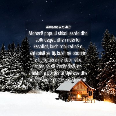 Picture 04 - Nehemia 8:16 ALB - Atëherë populli shkoi jashtë dhe solli degët, - Bible Verse Picture