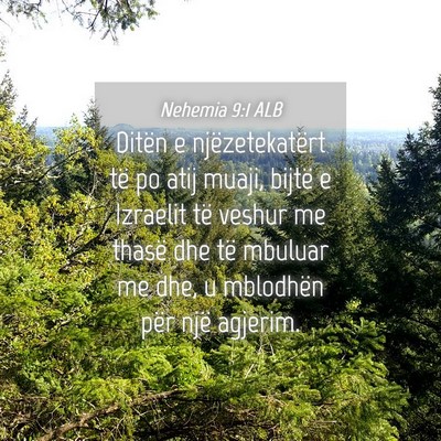 Picture 04 - Nehemia 9:1 ALB - Ditën e njëzetekatërt të po atij muaji, - Bible Verse Picture