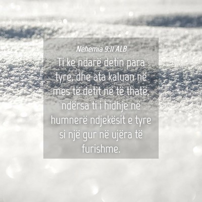 Picture 04 - Nehemia 9:11 ALB - Ti ke ndarë detin para tyre, dhe ata kaluan në - Bible Verse Picture