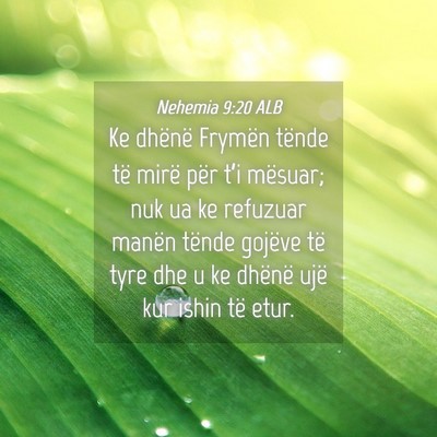 Picture 04 - Nehemia 9:20 ALB - Ke dhënë Frymën tënde të mirë për t’i - Bible Verse Picture