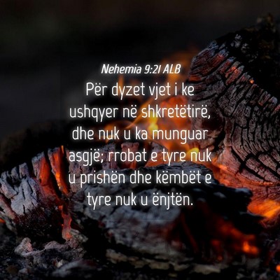 Picture 04 - Nehemia 9:21 ALB - Për dyzet vjet i ke ushqyer në shkretëtirë, - Bible Verse Picture