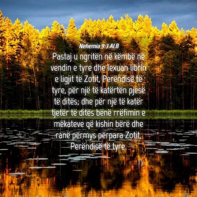 Picture 04 - Nehemia 9:3 ALB - Pastaj u ngritën në këmbë në vendin e tyre - Bible Verse Picture
