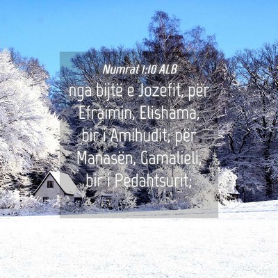 Picture 04 - Numrat 1:10 ALB - nga bijtë e Jozefit, për Efraimin, Elishama, - Bible Verse Picture
