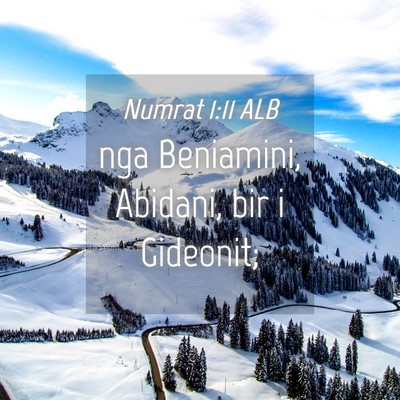Picture 04 - Numrat 1:11 ALB - nga Beniamini, Abidani, bir i - Bible Verse Picture