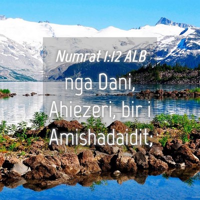 Picture 04 - Numrat 1:12 ALB - nga Dani, Ahiezeri, bir i - Bible Verse Picture