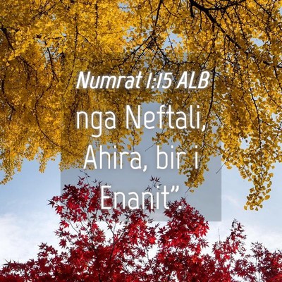 Picture 04 - Numrat 1:15 ALB - nga Neftali, Ahira, bir i - Bible Verse Picture