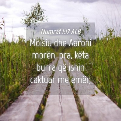 Picture 04 - Numrat 1:17 ALB - Moisiu dhe Aaroni morën, pra, këta burra që - Bible Verse Picture