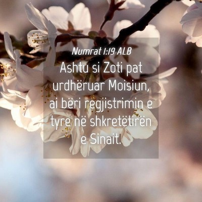 Picture 04 - Numrat 1:19 ALB - Ashtu si Zoti pat urdhëruar Moisiun, ai bëri - Bible Verse Picture