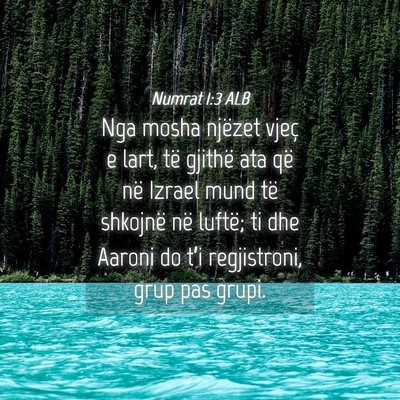 Picture 04 - Numrat 1:3 ALB - Nga mosha njëzet vjeç e lart, të gjithë ata - Bible Verse Picture