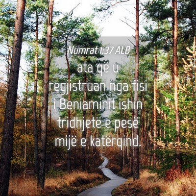 Picture 04 - Numrat 1:37 ALB - ata që u regjistruan nga fisi i Beniaminit ishin - Bible Verse Picture