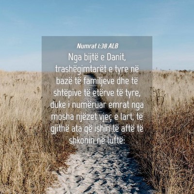 Picture 04 - Numrat 1:38 ALB - Nga bijtë e Danit, trashëgimtarët e tyre në - Bible Verse Picture