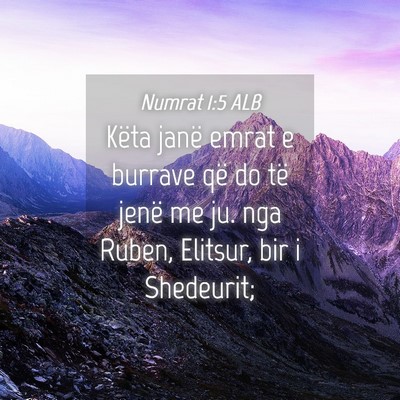 Picture 04 - Numrat 1:5 ALB - Këta janë emrat e burrave që do të jenë me - Bible Verse Picture