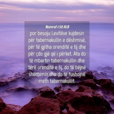Picture 04 - Numrat 1:50 ALB - por besoju Levitëve kujdesin për tabernakullin - Bible Verse Picture