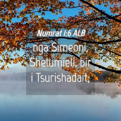 Picture 04 - Numrat 1:6 ALB - nga Simeoni, Shelumieli, bir i - Bible Verse Picture