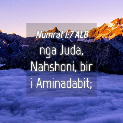 Picture 04 - Numrat 1:7 ALB - nga Juda, Nahshoni, bir i - Bible Verse Picture