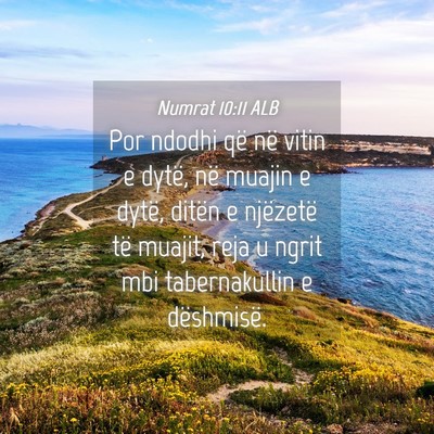 Picture 04 - Numrat 10:11 ALB - Por ndodhi që në vitin e dytë, në muajin e - Bible Verse Picture