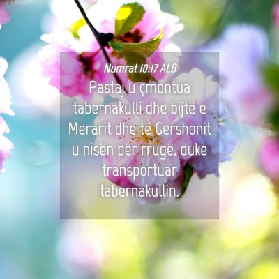Picture 04 - Numrat 10:17 ALB - Pastaj u çmontua tabernakulli dhe bijtë e - Bible Verse Picture
