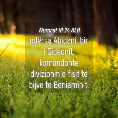 Picture 04 - Numrat 10:24 ALB - ndërsa Abidani, bir i Gideonit, komandonte - Bible Verse Picture