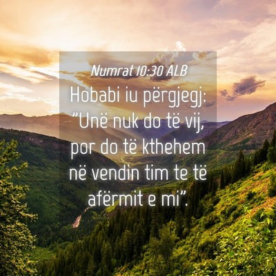 Picture 04 - Numrat 10:30 ALB - Hobabi iu përgjegj: 