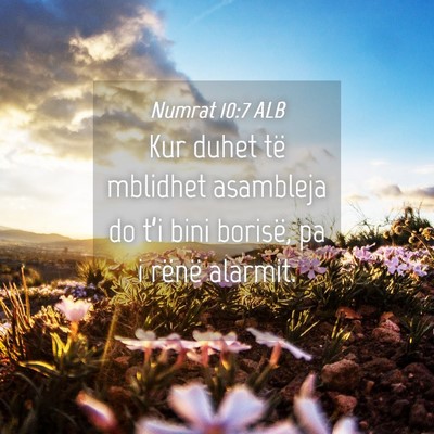 Picture 04 - Numrat 10:7 ALB - Kur duhet të mblidhet asambleja do t’i bini - Bible Verse Picture