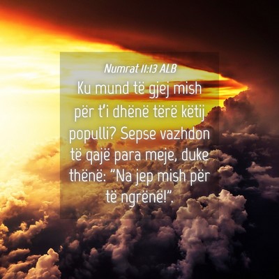 Picture 04 - Numrat 11:13 ALB - Ku mund të gjej mish për t’i dhënë tërë - Bible Verse Picture