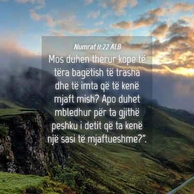 Picture 04 - Numrat 11:22 ALB - Mos duhen therur kope të tëra bagëtish të - Bible Verse Picture
