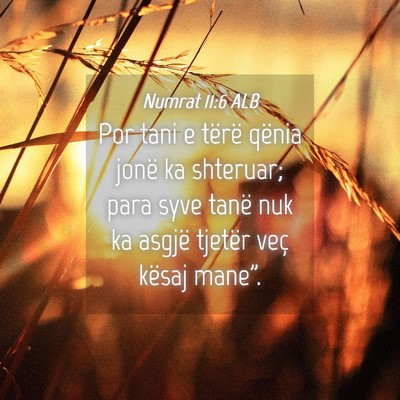 Picture 04 - Numrat 11:6 ALB - Por tani e tërë qënia jonë ka shteruar; para - Bible Verse Picture