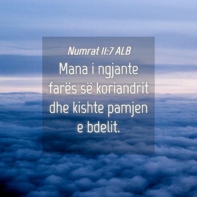 Picture 04 - Numrat 11:7 ALB - Mana i ngjante farës së koriandrit dhe kishte - Bible Verse Picture