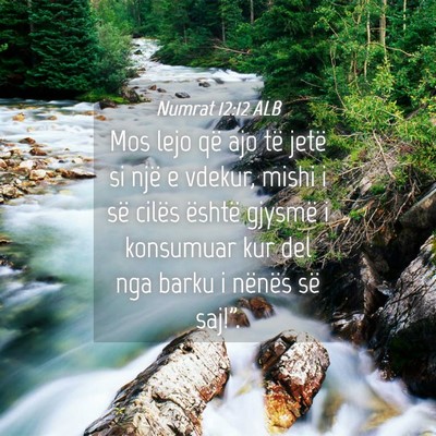 Picture 04 - Numrat 12:12 ALB - Mos lejo që ajo të jetë si një e vdekur, - Bible Verse Picture