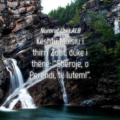 Picture 04 - Numrat 12:13 ALB - Kështu Moisiu i thirri Zotit, duke i thënë: - Bible Verse Picture