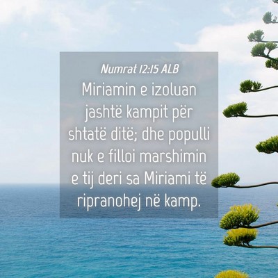 Picture 04 - Numrat 12:15 ALB - Miriamin e izoluan jashtë kampit për shtatë - Bible Verse Picture