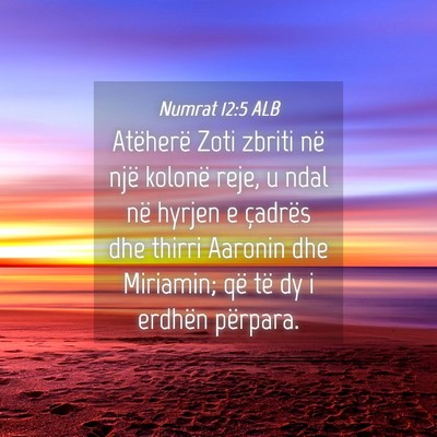 Picture 04 - Numrat 12:5 ALB - Atëherë Zoti zbriti në një kolonë reje, u - Bible Verse Picture
