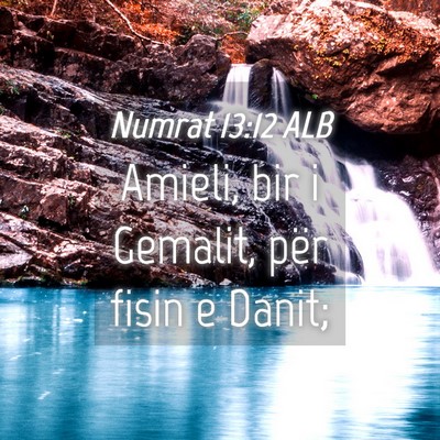 Picture 04 - Numrat 13:12 ALB - Amieli, bir i Gemalit, për fisin e - Bible Verse Picture