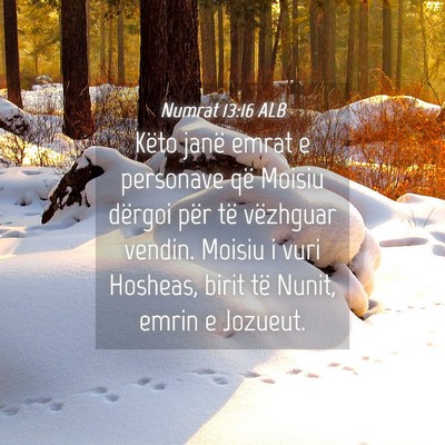Picture 04 - Numrat 13:16 ALB - Këto janë emrat e personave që Moisiu dërgoi - Bible Verse Picture