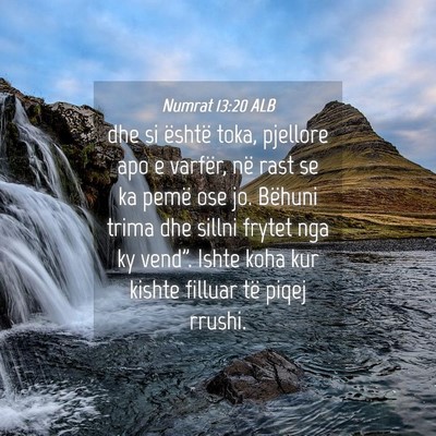 Picture 04 - Numrat 13:20 ALB - dhe si është toka, pjellore apo e varfër, në - Bible Verse Picture