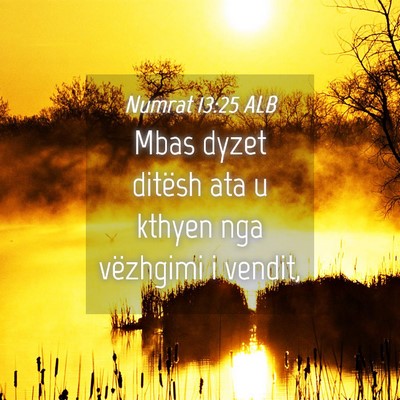 Picture 04 - Numrat 13:25 ALB - Mbas dyzet ditësh ata u kthyen nga vëzhgimi i - Bible Verse Picture