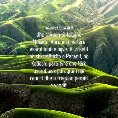 Picture 04 - Numrat 13:26 ALB - dhe shkuan të takojnë Moisiun, Aaronin dhe - Bible Verse Picture