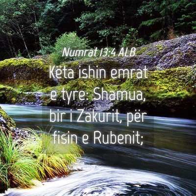 Picture 04 - Numrat 13:4 ALB - Këta ishin emrat e tyre: Shamua, bir i Zakurit, - Bible Verse Picture
