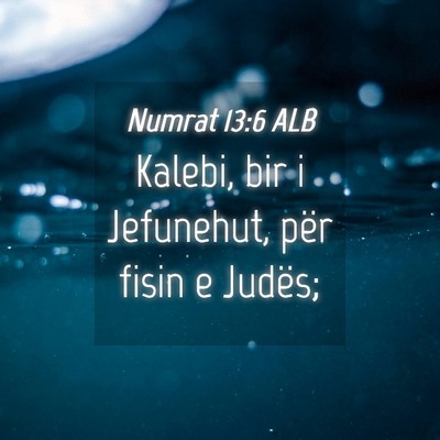 Picture 04 - Numrat 13:6 ALB - Kalebi, bir i Jefunehut, për fisin e - Bible Verse Picture
