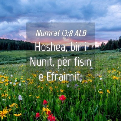 Picture 04 - Numrat 13:8 ALB - Hoshea, bir i Nunit, për fisin e - Bible Verse Picture