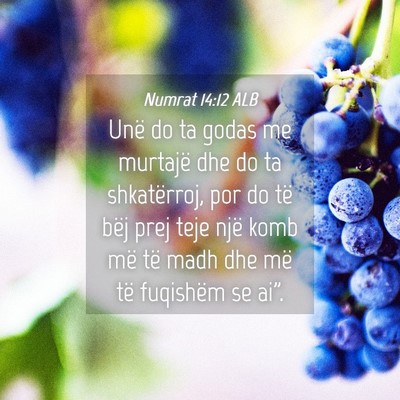Picture 04 - Numrat 14:12 ALB - Unë do ta godas me murtajë dhe do ta - Bible Verse Picture