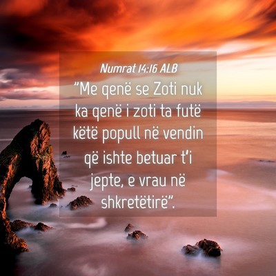 Picture 04 - Numrat 14:16 ALB - 